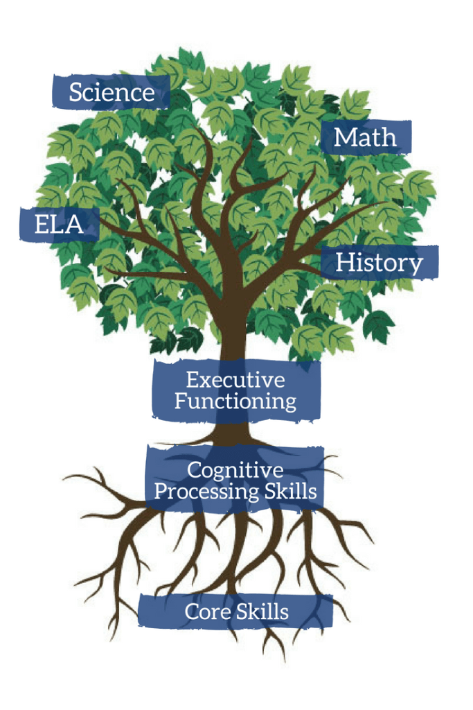 Graphic of a tree. The roots of the tree says 