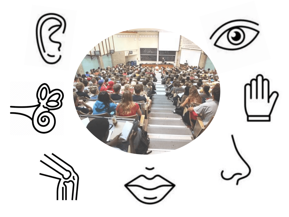 Decorative image showing a photo of a lecture hall surrounded by black-and-white icons representing the sensory systems: an eye, and ear, a nose, a mouth, a hand, the vestibular organ (the sense of balance in the inner ear) and a joint (for the sense of body in space, proprioception).