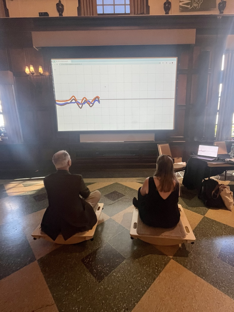 Two people sit on large balance boards and generate fluctuating graphs on a large projected display in front of them.
